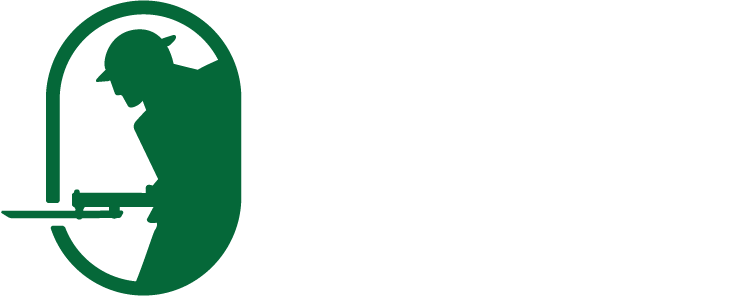 Echoes of War